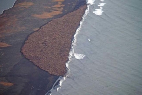 Что не так с этим снимком?