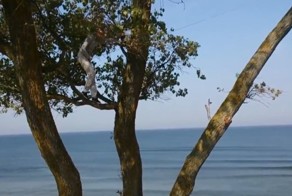 Лучшие фейлы прошедшей недели