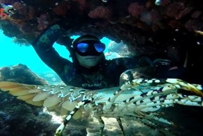 Шикарная подводная охота