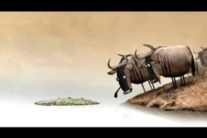 Бревно короткий смешной мультик! 