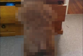 Рано утром...