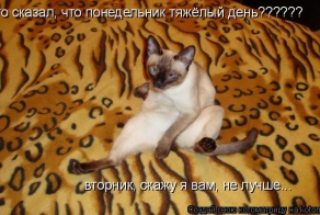 Фишкина солянка за 07.10.2014 