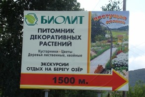 Как мы ездили в дендрарий