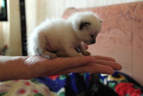 Милая шалунья!