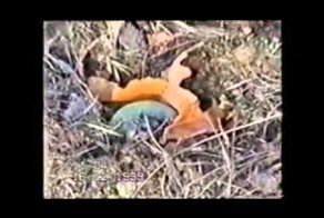 ВДВ против Армии США 