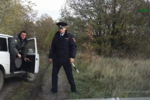 Неожиданная встреча в лесу