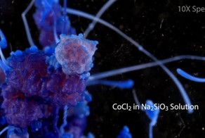 Прекрасные химические реакции