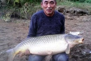 Житель башкирского города Октябрьский выловил в пруду карпа весом 24 к