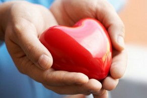 Интересные научные факты о человеческом сердце