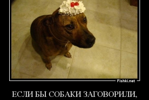 Фишкина солянка за 11.10.2014