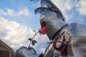 Рыцарь на белом коне сделал предложение стюардессе