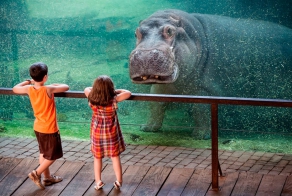 Иногда вот так вот ВНЕЗАПНО