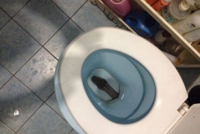 Гость пробрался через унитаз