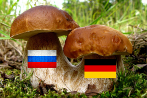 Что русскому хорошо, то немцу -...