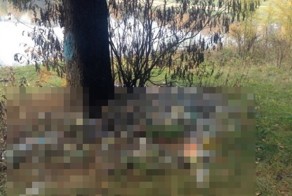 Берегите природу