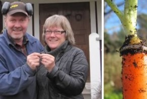 Самые необычные истории находок и встреч