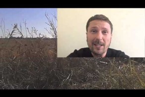 Как батальон Ляшка видит суслика