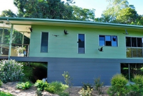 Больница для летучих мышей