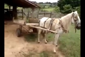 Как нужно парковаться 