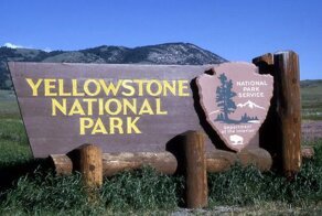 Трофический каскад или как волки меняют реки