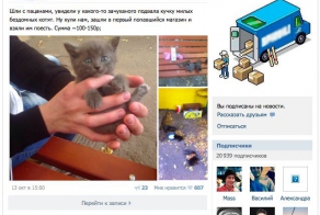 Клептоманы делятся своими "достижениями"