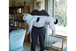 Царь-кошки. Самые большие коты в мире