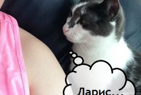 5 стадий домогательства