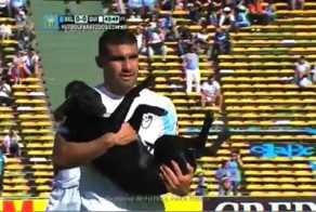 Щенок стал причиной паузы во время футбольного матча