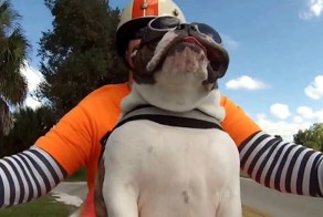 Сама невозмутимость