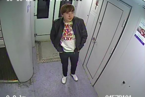 Вандалы