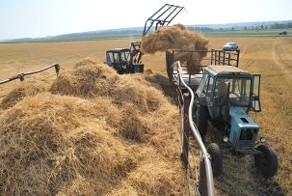 Поляки предложили украинцам греться соломой