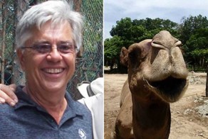 Верблюд убил владельца заповедника