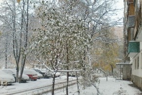 Первый снег.