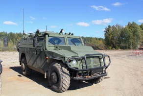 Морозоустойчивые «Тигры»