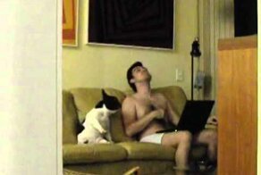 Музыкальный пес