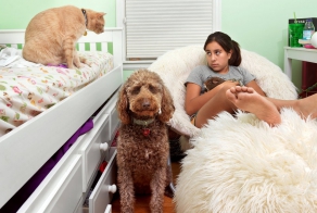 Дети и их комнаты 