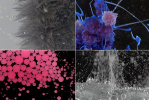 Познавательное видео: красота химических реакций