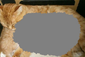 Необычные приемные детишки