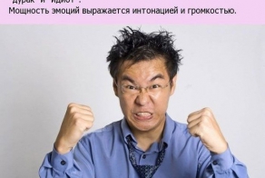 Интересные факты о Японии и японцах