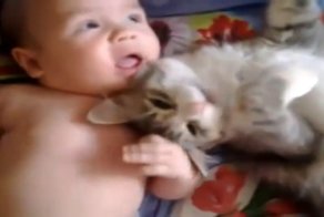 Кот и Малыш