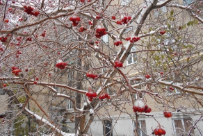 Ледяной дождь в Челябинске