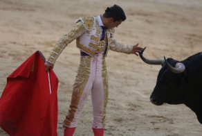 Двенадцать самых популярных мифов