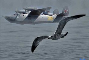 Самолет-амфибия Бе-12 «Чайка»
