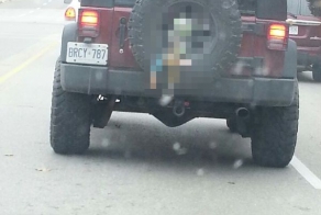 История игрушек