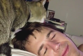 Лучший будильник в мире