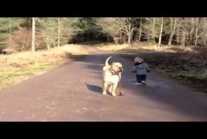 Ребенок выгуливал собаку, и вдруг... лужа! 