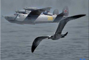 Самолет-амфибия Бе-12 «Чайка»