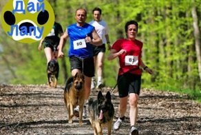 Что такое каникросс и байкджоринг? 