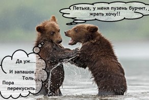 Мамка-мишка или медвежья охота
