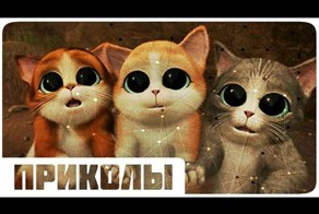 ПОДБОРКА ПРИКОЛОВ 2014